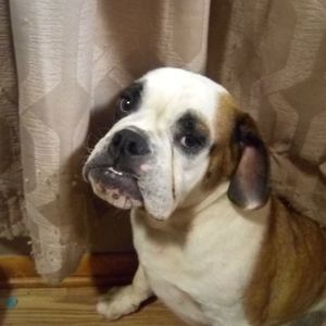 Meet your Posher, Bill